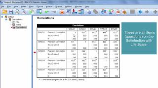 How to Interpret a Correlation Matrix [upl. by Rot481]