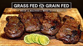 Joe Rogan  The Benefits of Grass Fed Beef vs Grain Fed Beef [upl. by Lay53]