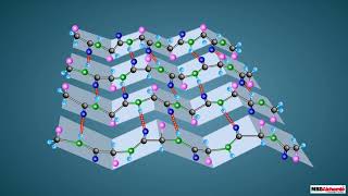 Proteins and their Structure [upl. by Eibrab305]