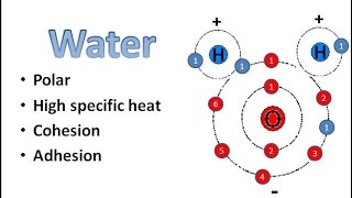 Water Chemistry [upl. by Nemrac493]