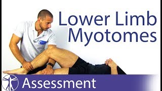 Myotomes Lower Limb  Peripheral Neurological Examination [upl. by Tutankhamen865]