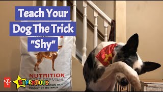 SuperDogs  Teach Your Dog The Trick  Shy  Dog Training [upl. by Onibas]