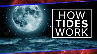 What Physics Teachers Get Wrong About Tides  Space Time  PBS Digital Studios [upl. by Jessamyn]