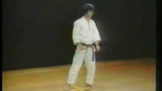 Wankan  Shotokan Karate [upl. by Sivi]