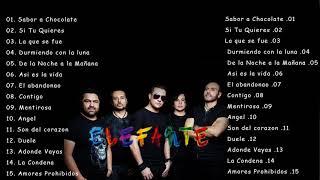 ELEFANTE MIX GRANDES EXITOS 2021 [upl. by Neelhtac946]