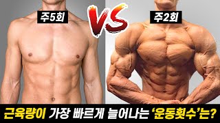 일주일에 몇번 운동해야 근육이 잘 늘어날까 [upl. by Nelg]