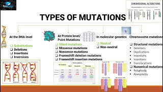 Mutations And Types Of Mutations [upl. by Teragram45]