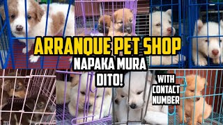 ARRANQUE PET SHOP JULY UPDATE 2021 [upl. by Ater]