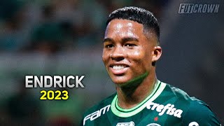 Endrick 2023 ● Palmeiras ► Crazy Skills amp Goals  HD [upl. by Aihsekin]