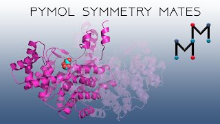 Wheres My Dimer Symmetry Mates in PyMOL [upl. by Aeneas825]