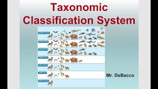 Taxonomic Classification [upl. by Anagrom]