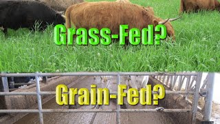 GrassFed vs GrassFinished Beef Big Difference [upl. by Yahsan]