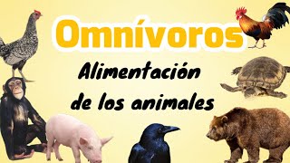 Animales omnívoros [upl. by Atikin]