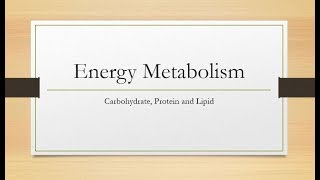 Energy Metabolism Carbohydrate Protein and Lipids [upl. by Udall]