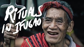 RITUAL IN IFUGAO RICE TERRACES [upl. by Nalad365]