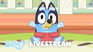 🔴LIVE BLUEY FULL EPISODES LIVESTREAM [upl. by Mountford]