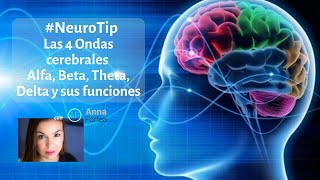 Las 4 Ondas cerebrales Alfa Beta Theta Delta y sus FUNCIONES [upl. by Ataga]