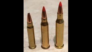 17hmr vs 17wsm vs 17 hornet [upl. by Teraj]