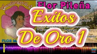 Flor Pileña  Exitos de Oro 1 [upl. by Nahta643]