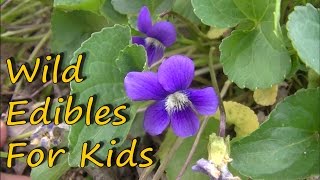 6 Wild Edible Plants For Kids [upl. by Vogeley]