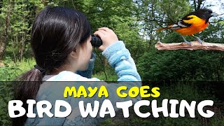 Mayas Guide for Bird Watching for Kids and Parents [upl. by Fleischer555]