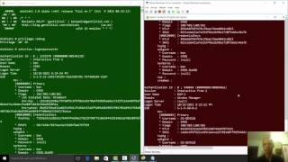 Credential Guard on Windows 10 Enterprise [upl. by Noicnecsa838]