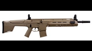 Review Crosman MK177  A Mash Up Of the FN SCAR amp Bushmaster ACR [upl. by Tarrel]