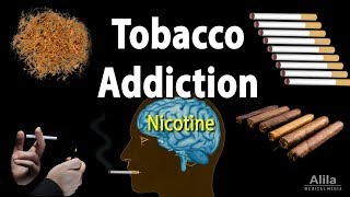 Tobacco Addiction Nicotine and Other Factors Animation [upl. by Tamarra]