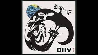 DIIV  Doused Bass Cover [upl. by Ury754]