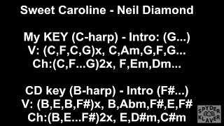 Sweet Caroline  Neil Diamond  Lyrics  Chords [upl. by Teddi]