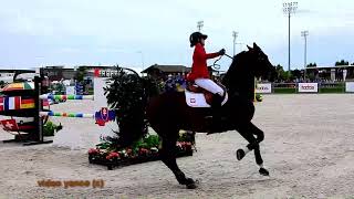 Horse show jumping falls compilation [upl. by Zedecrem866]