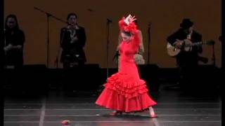 flamenco rondena [upl. by Zaob696]