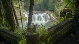 Visit Your Pacific Northwest National Forest [upl. by Jacquelynn]