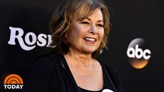 Roseanne Barr Accuses Sara Gilbert Of Destroying Her Life [upl. by Marmaduke]