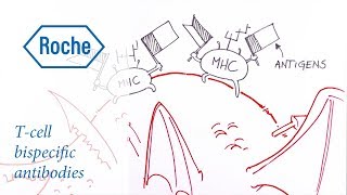 Drawn to Science  Tcell bispecific antibodies [upl. by Calypso]