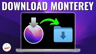 How to Download macOS Monterey  4 Different Ways [upl. by Perlman370]