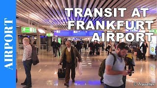 TRANSIT WALK AT FRANKFURT Airport FRA Terminal 1  Connection Flight Transfer Arriving amp Departing [upl. by Alyad]