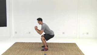 Bodyweight Push Ups Squats [upl. by Ellenyl]