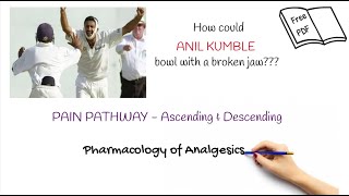 Pain PathophysiologyAscending amp Descending PathwayGate Control TheoryOpioids amp NSAIDs [upl. by Eamaj150]