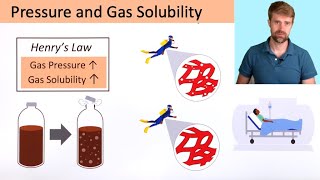 Pressure and Gas Solubility Henrys Law [upl. by Duval657]