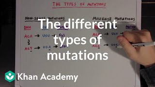 The different types of mutations  Biomolecules  MCAT  Khan Academy [upl. by Dammahum]