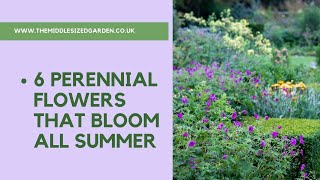 6 perennial flowers that bloom all summer  plus a bonus plant [upl. by Ecnedurp]