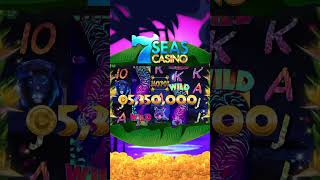 7 Seas Casino  Wild Nights Slots [upl. by Akihsan]