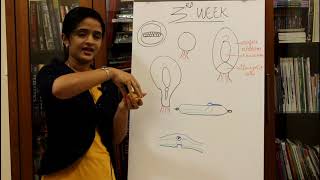 GENERAL EMBRYOLOGY  THE THIRD WEEK OF HUMAN DEVELOPMENT  DR ROSE JOSE MD DNB MNAMS [upl. by Nyl]