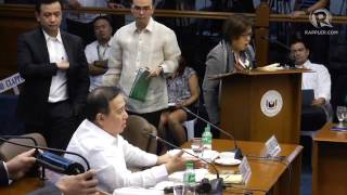 Heated exchange between Gordon de Lima Trillanes in the Senate [upl. by Eneladgam874]