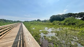 Wakodahatchee Wetlands A Boardwalk Exploration Through a Florida Oasis [upl. by Epilihp690]