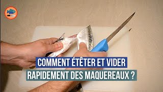 Comment étêter et vider rapidement des maquereaux [upl. by Merissa]