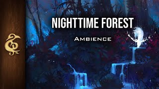 Night Time Forest  Nature Ambience  1 Hour [upl. by Bethezel446]