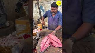 KASIMEDU SPEED SELVAM TUNA FISH CUTTING VIDEO bigfishcutting kasimeduselvam bigfish fishcutting [upl. by Aneekat]