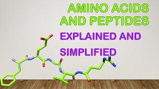 Chapter3Amino acids peptides and proteins Part1 [upl. by Danae]